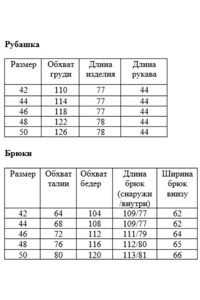 Брюки, рубашка IL GATTO 0027-022 - фото 5