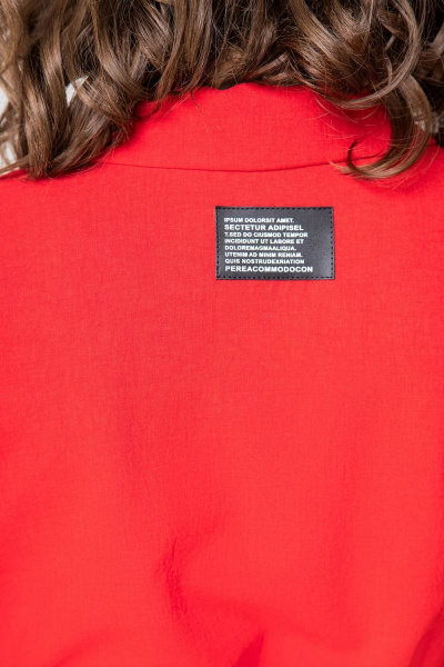 Платье EVA GRANT 192 красный - фото 6