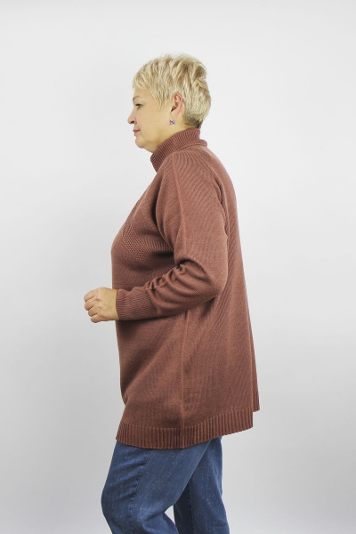 Коричневая трикотажная туника с регланом и прямым кроем Полесье С1351-22 2С5125-Д43 158,164 брусника_17-1518 - фото 2