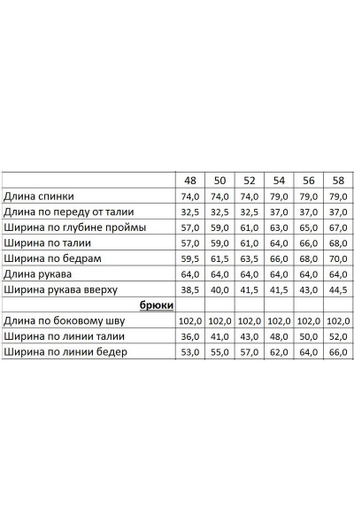 Блуза, брюки EVA GRANT 198 - фото 3