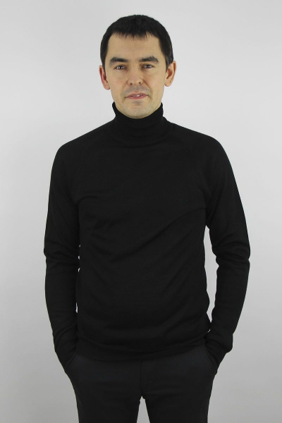 Демисезонный мужской свитер с длинным рукавом и воротником-отложным Полесье С3070-17 7С1581-Д43 182,188 черный - фото 1