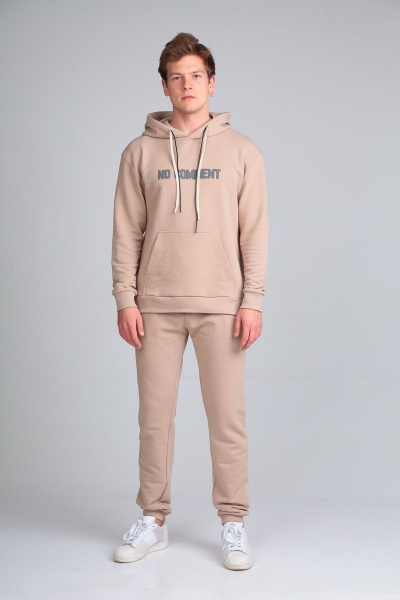 Брюки и худи из хлопкового футера мужской демисезонный костюм HIT 0317 бежевый - фото 5