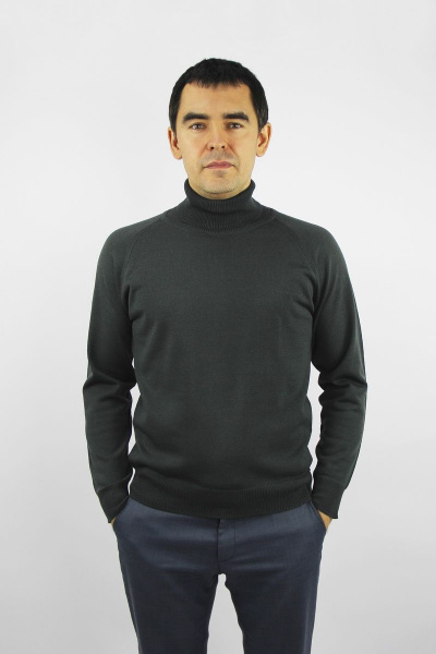 Мужской демисезонный зеленый свитер с регланом и воротником-отложкой Полесье С3070-17 7С1581-Д43 182,188 дипломат - фото 1