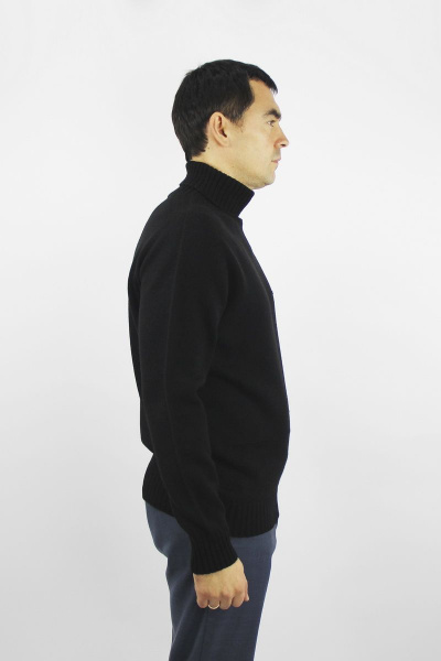 Демисезонный шерстяной свитер черный с регланом-пагоном и воротником-отложкой Полесье С3141-22 2С8742-Д43 170,176 глубокий_черный - фото 2