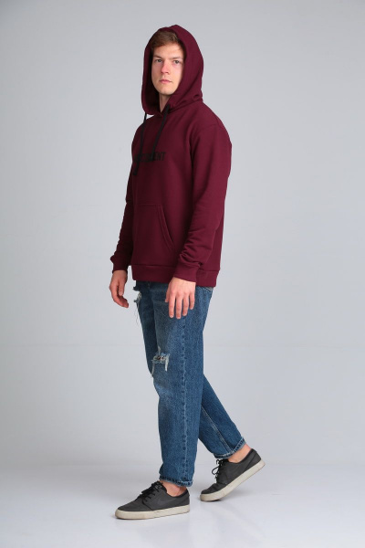 Худи на каждый день из трикотажа с принтом и капюшоном HIT 0213/1 - фото 4