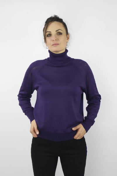 Свитер Полесье С3653-22 2С5082-Д43 158,164 черничный - фото 1