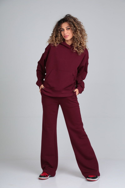 Брюки, джемпер HIT 3089 бордовый - фото 1